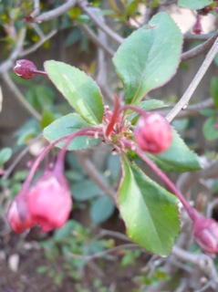 e0218148_1553227.jpg