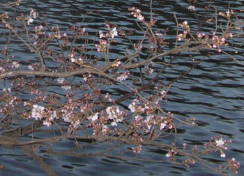e0172950_21103662.jpg