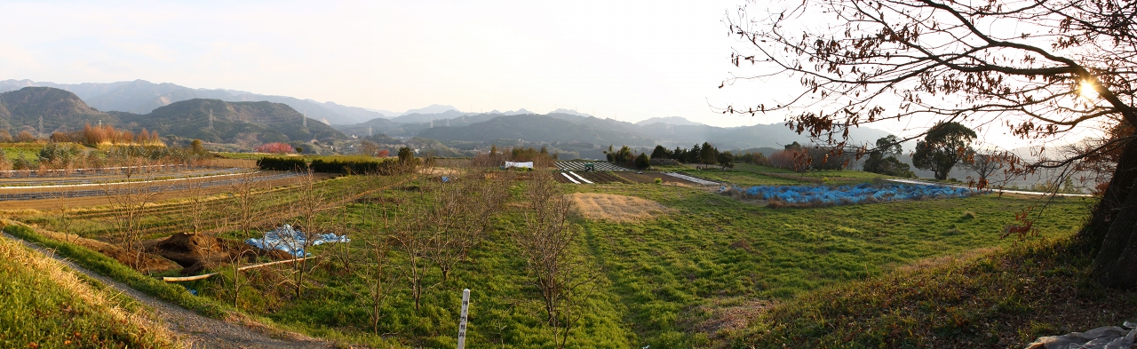 阿蘇大宮司館（陣の内館）跡　　甲佐町下豊野_b0123359_21332391.jpg