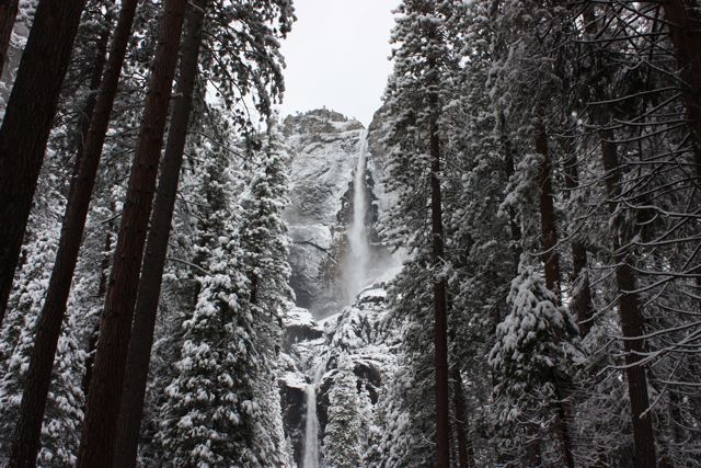 Spring Break 2011 Yosemite　Part2_a0048361_13494983.jpg