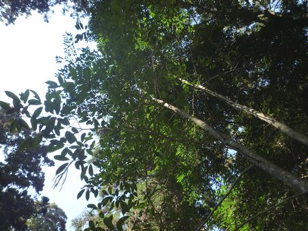 c0222861_11191425.jpg
