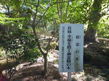 c0222861_11211864.jpg