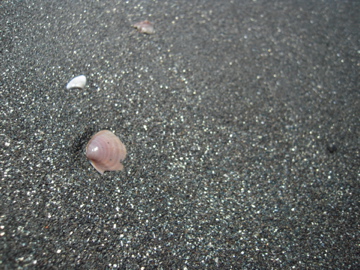 e0201166_0484359.jpg