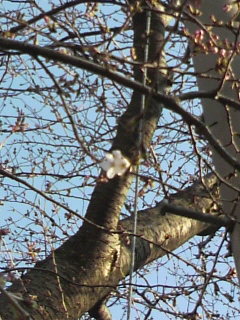 f0111366_1622191.jpg