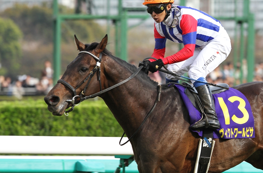 馬のメモ帳 アーモンドアイ&ワグネリアン 包み込ま