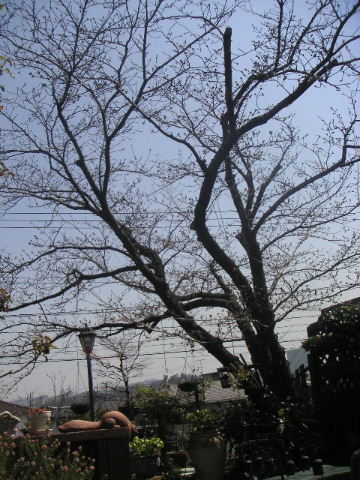 b0175571_16254258.jpg