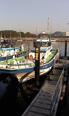 d0062076_1305783.jpg