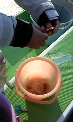 d0062076_1311359.jpg