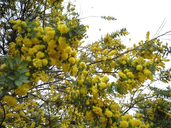 c0012180_23154040.jpg