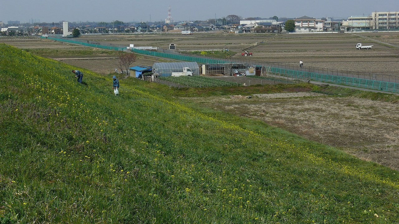a0185081_12912.jpg