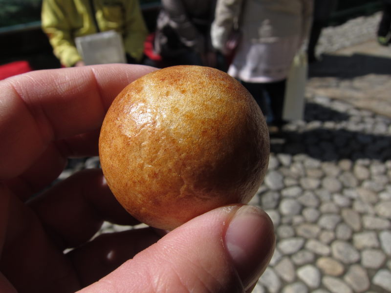 琵琶湖なぎさ公園＆近江八幡散策＆そぼっくるさんへ_e0138081_16515119.jpg