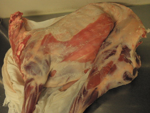 f0230284_234342.jpg