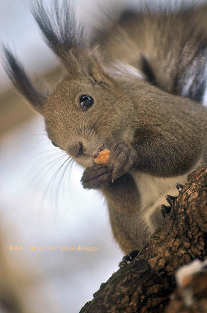 食欲の春_d0202986_020271.jpg