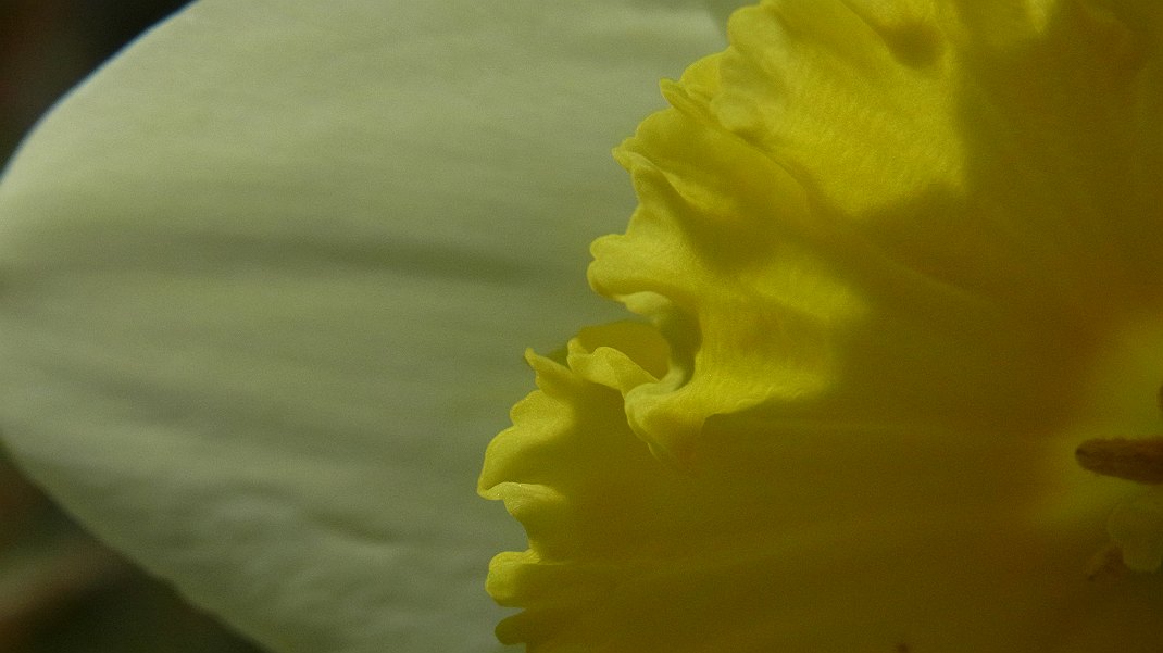a0152692_2014223.jpg