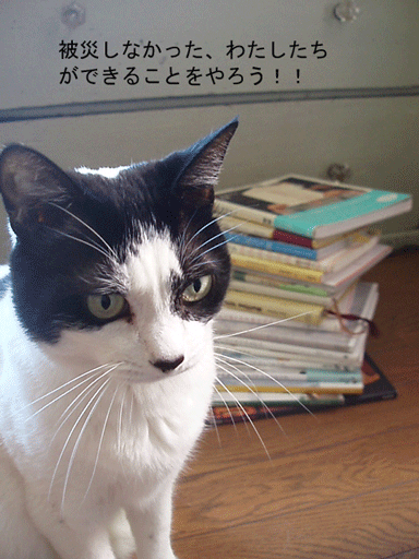 c0129702_21375743.gif