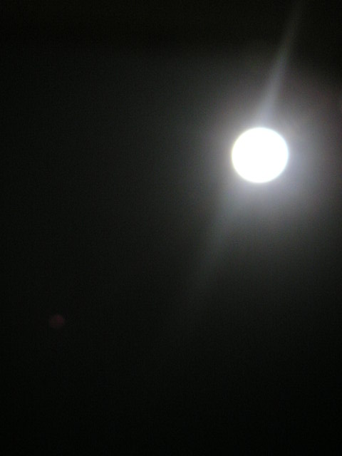 a0056406_6274920.jpg