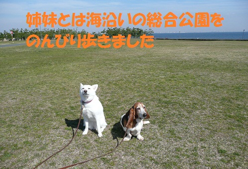 f0121712_23592036.jpg