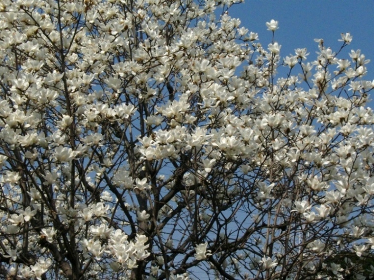 d0044222_2343093.jpg