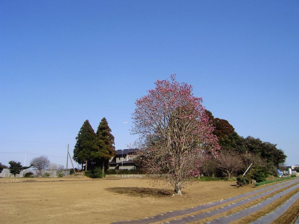 a0166324_2395822.jpg