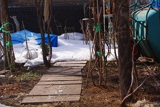 f0170524_1425275.jpg