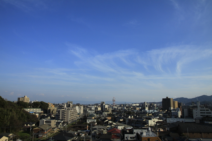 d0200926_6161522.jpg