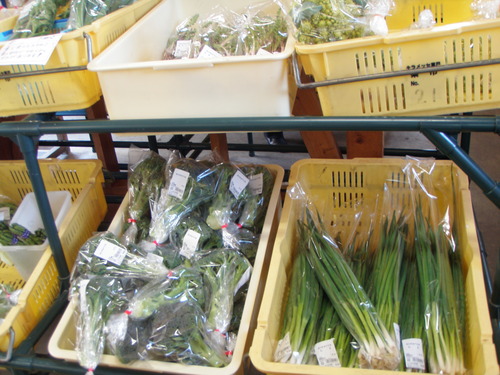 道の駅キラメッセ室戸 直販所・楽市は商品が豊富です。_f0227434_1282395.jpg
