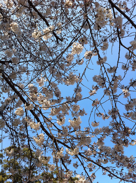 e0203037_23203359.gif