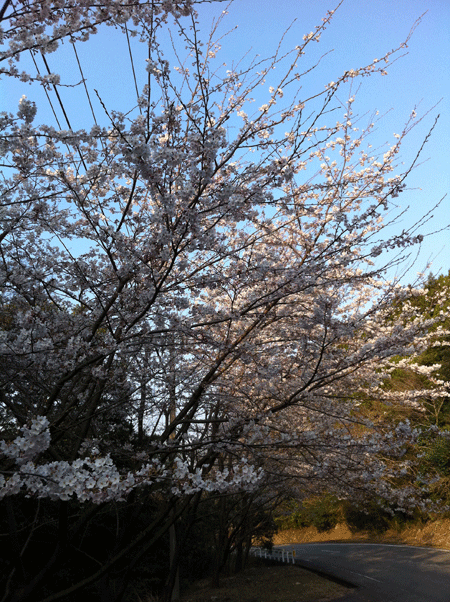 e0203037_23281027.gif