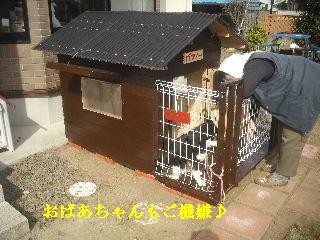 今日も・・あちこち・・・_f0031037_1813303.jpg