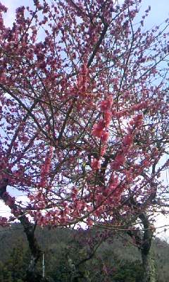 f0124642_11413134.jpg