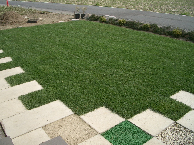 来年こそは2011・・・その1_a0155844_10355257.jpg