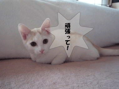 d0227044_21442266.gif
