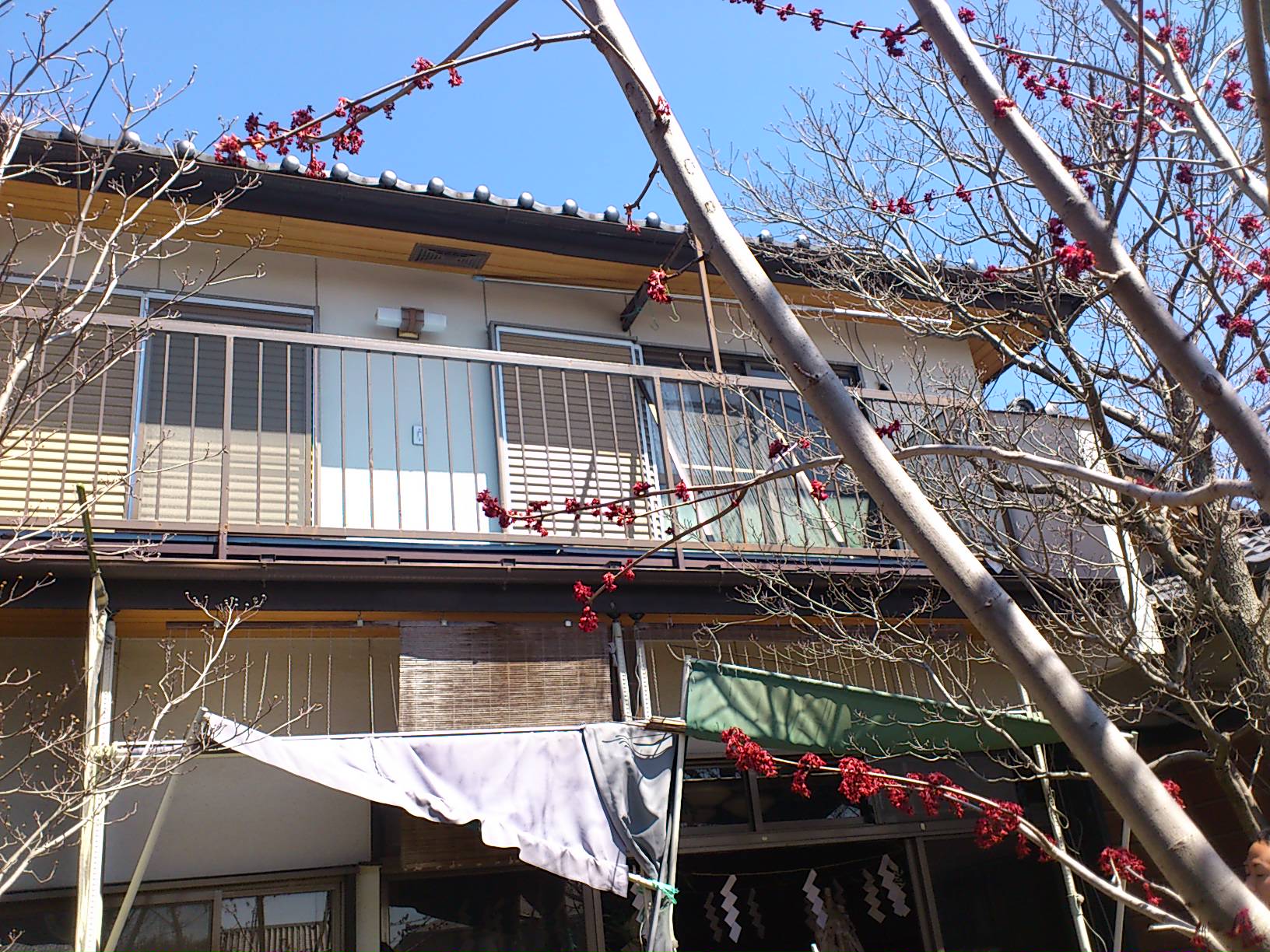 a0181151_220138.jpg