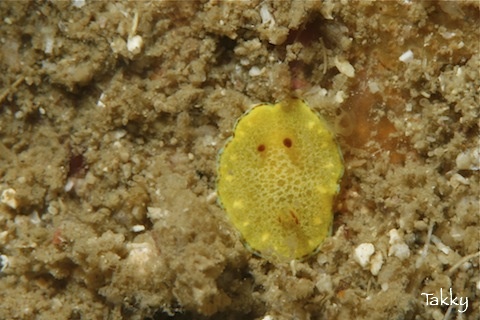 2011.03.30 Wed. みなべ・田辺_e0158261_601771.jpg