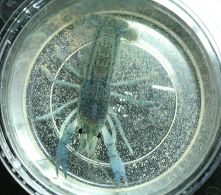 a0162263_2141367.jpg