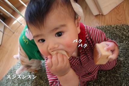 c0174077_1263885.jpg