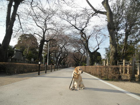 f0052277_0565325.jpg
