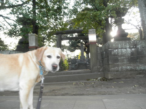 f0052277_0583469.jpg