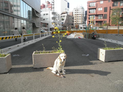 f0052277_193271.jpg