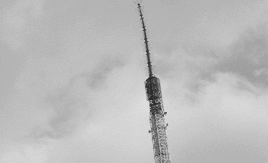 ▼イルコモンズ 「東京で生きのびる」(英訳＝J.F.P.A.)_d0017381_13415686.gif