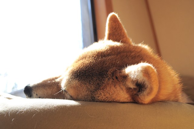 幸せな誘惑_a0126590_215375.jpg