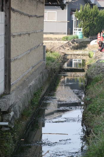 f0128092_851759.jpg