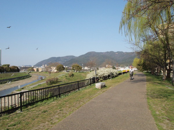 e0111793_20343543.jpg
