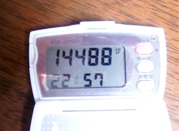 c0151898_1662060.jpg