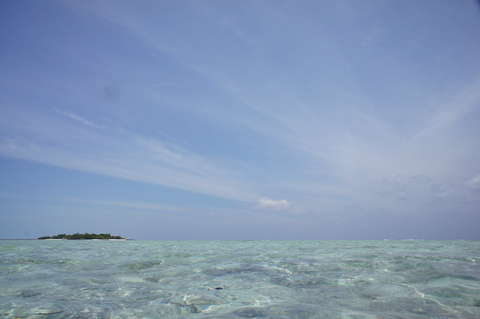 a0111102_23174979.jpg
