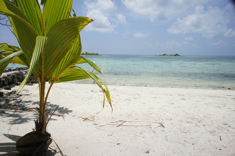 a0111102_23555637.jpg