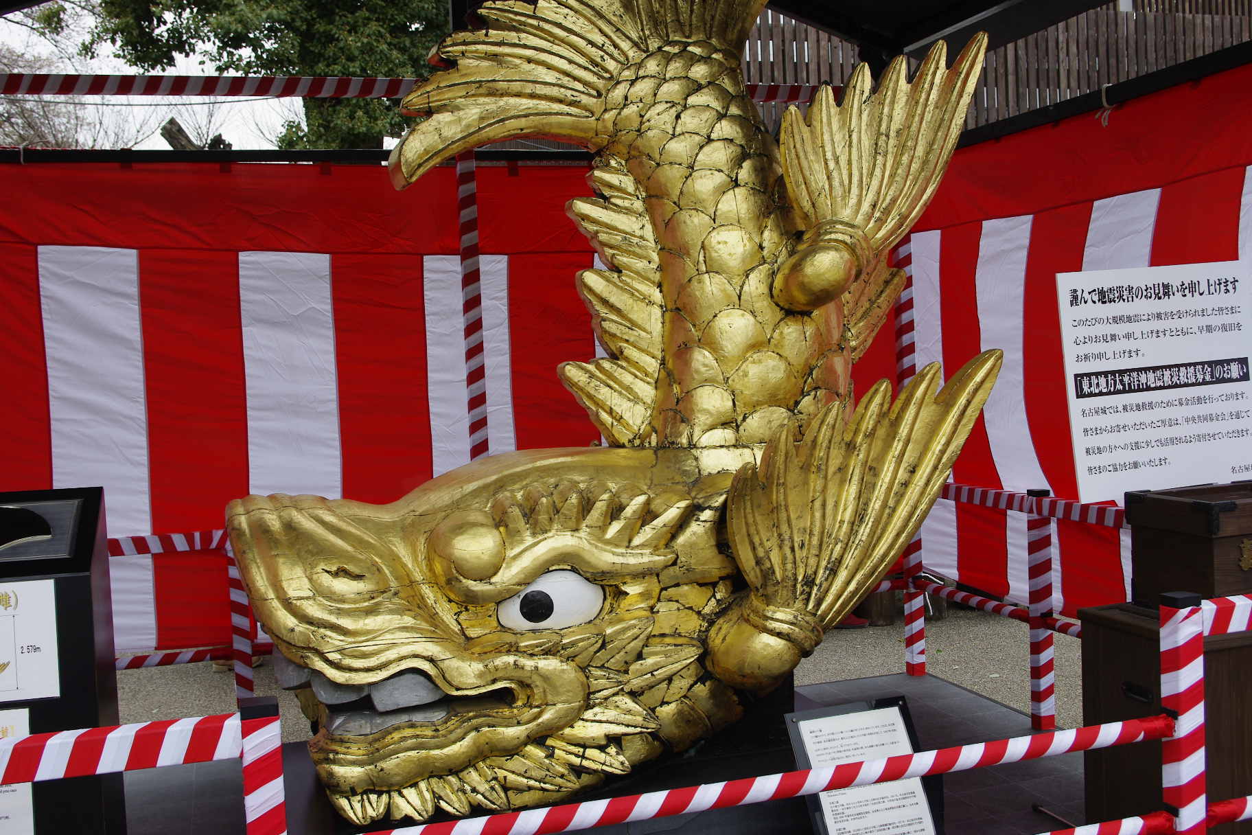 d0070007_17595570.jpg