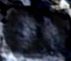 e0103408_20201824.jpg