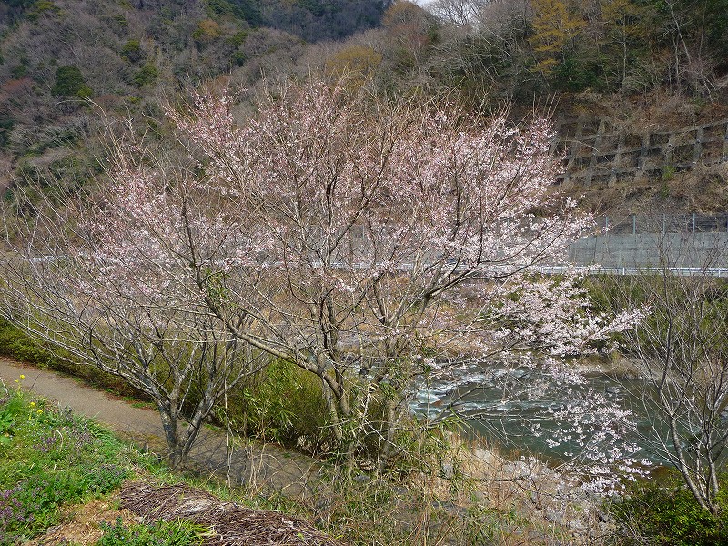 f0182513_9124918.jpg