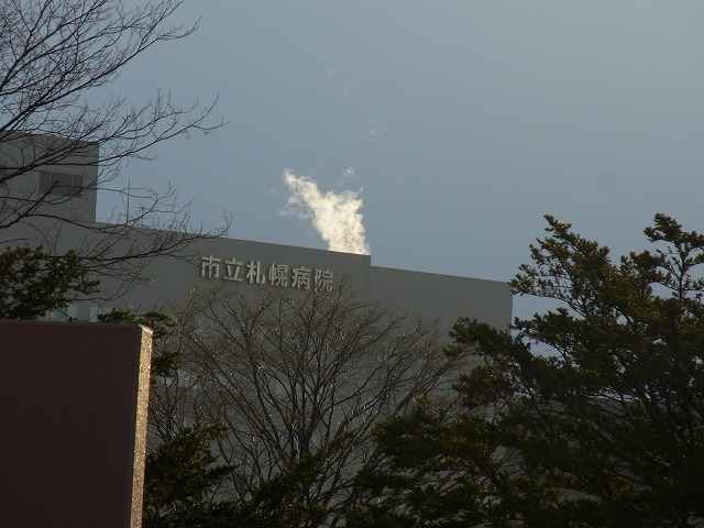 c0025115_1746546.jpg